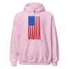 Gary Taxali “Kamala Flag Simple Graphic” Unisex Hoodie - Light Colours - artist designed clothing by Gary Taxali