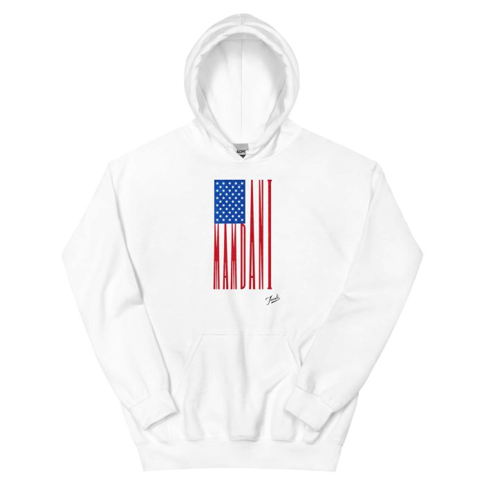 GARY TAXALI “MAMDANI FLAG” UNISEX HOODIE - LIGHT COLOURS - artist designed clothing by Gary Taxali