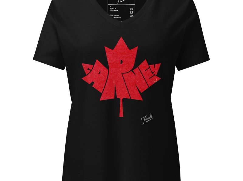 womens-relaxed-v-neck-t-shirt-solid-black-blend-front-67d5b8f9c0d8a.jpg